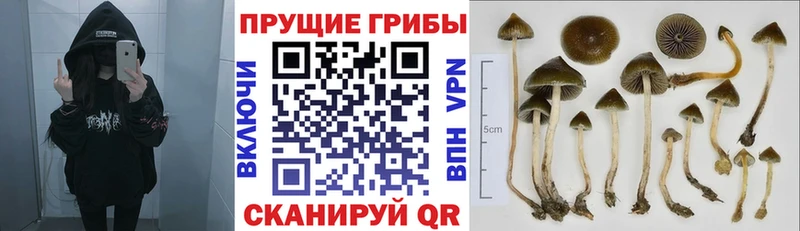 где можно купить   Орск  Галлюциногенные грибы ЛСД 
